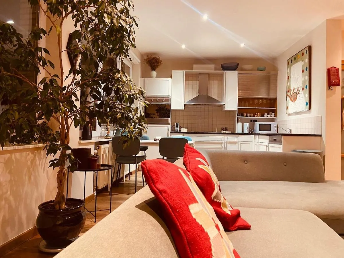 Charming & Spacious Duplex Viewing The Lovely Mas Antwerp 0*,