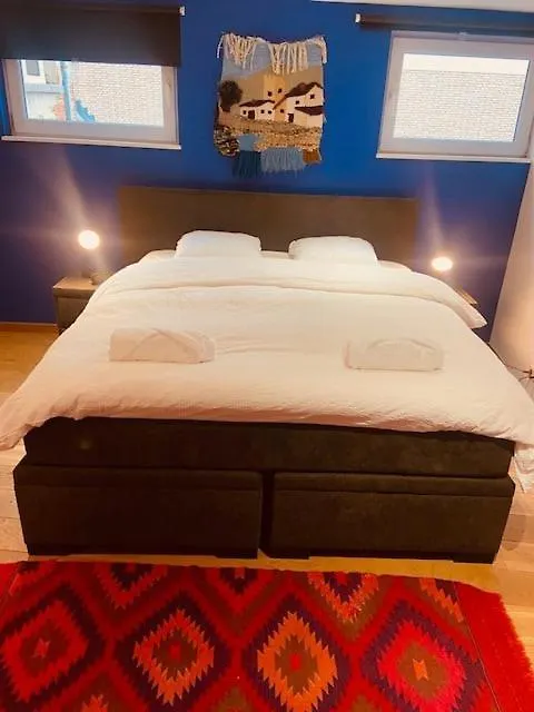 Charming & Spacious Duplex Viewing The Lovely Mas Antwerp 0*,  Belgium