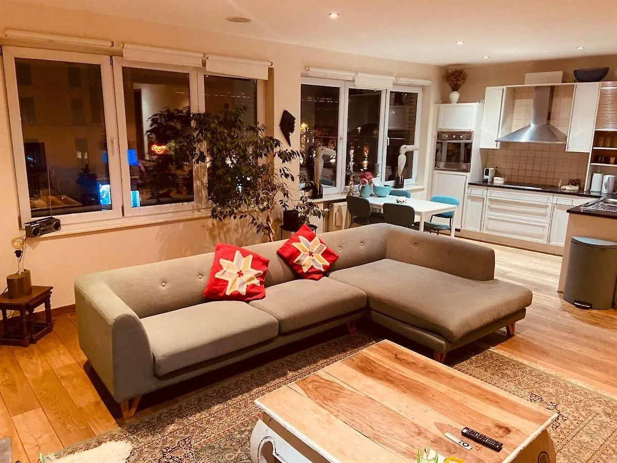 Apartment Charming & Spacious Duplex Viewing The Lovely Mas Antwerp